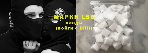 мяу мяу мука Инта