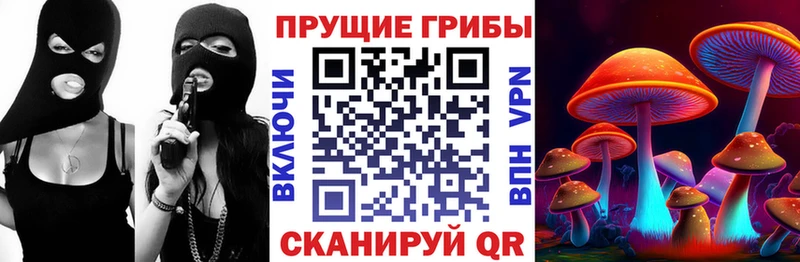 Псилоцибиновые грибы Psilocybine cubensis  Купить  Печоры 